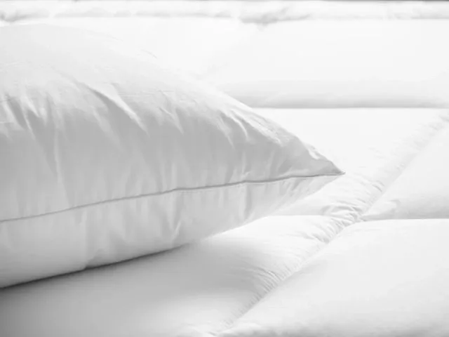 A white pillow is laying on top of the bed.